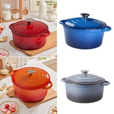 Enameled Casserole Pot Cast